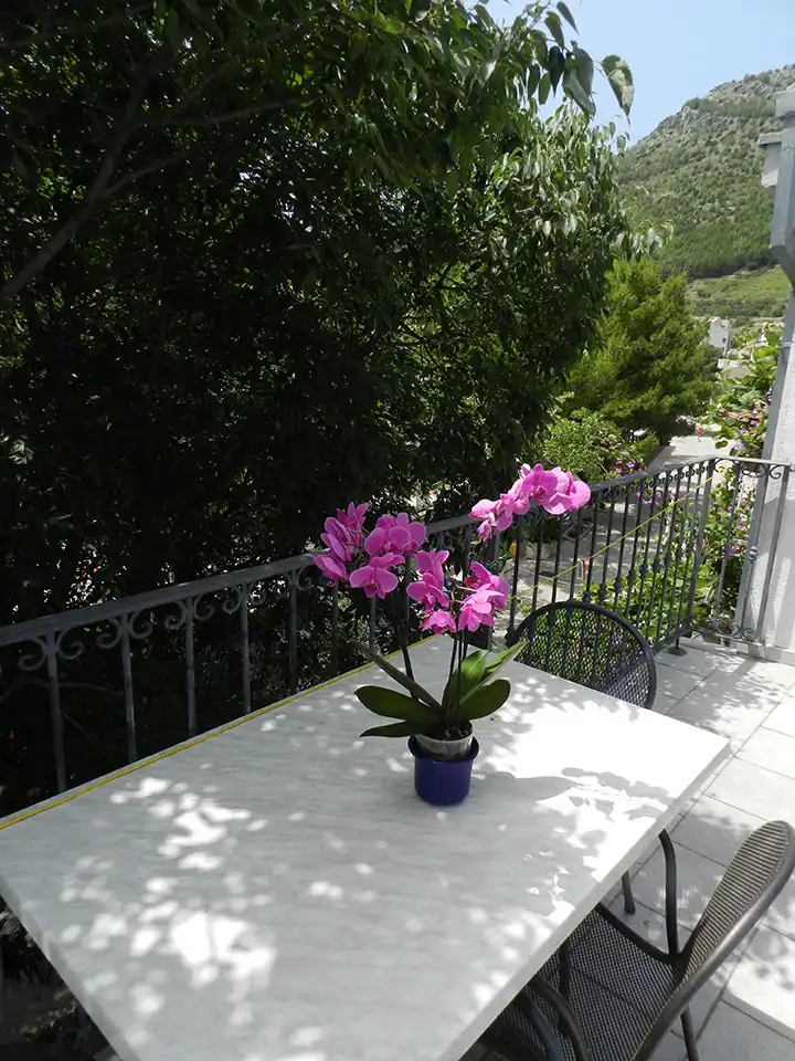 Apartment A3