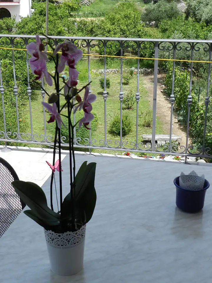 Apartment A4